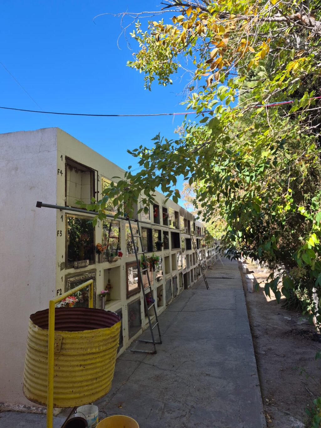 Cervantes mejora el Cementerio Municipal