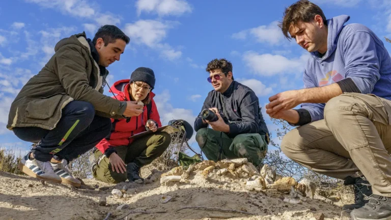 El hallazgo de un nuevo sitio paleontológico marca un hito para Río Negro