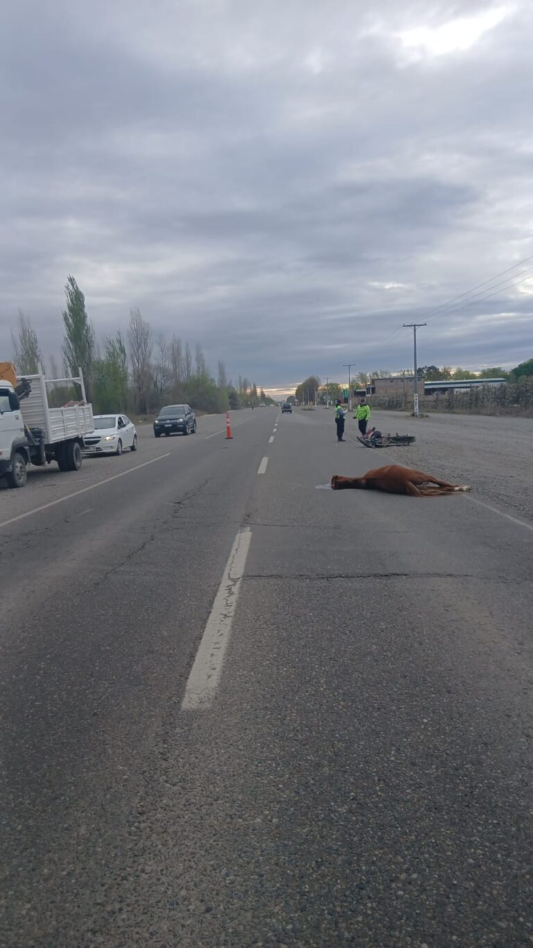 accidente