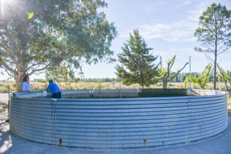DÍA DE TODOS LOS SANTOS Y FIELES DIFUNTOS EL CEMENTERIO DE CERVANTES INFORMÓ SUS HORARIOS