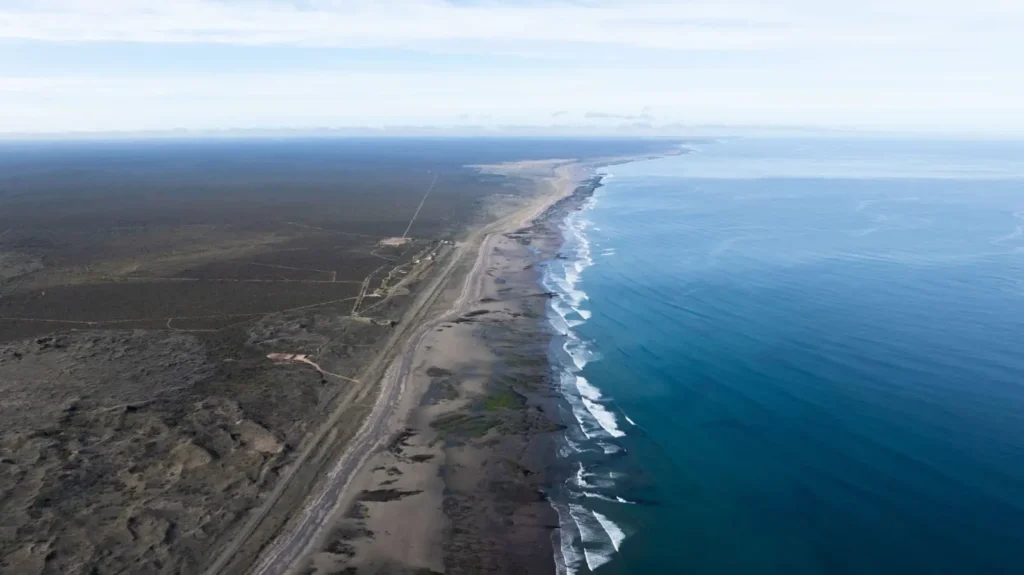 Del mar rionegrino al mundo Río Negro marca un hito en conservación marina