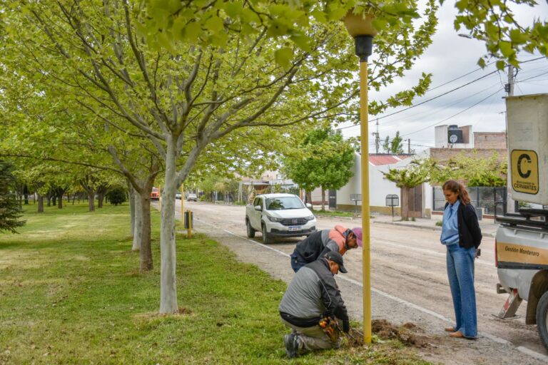 La Municipalidad de Cervantes continúa con los trabajos de mantenimiento de iluminación