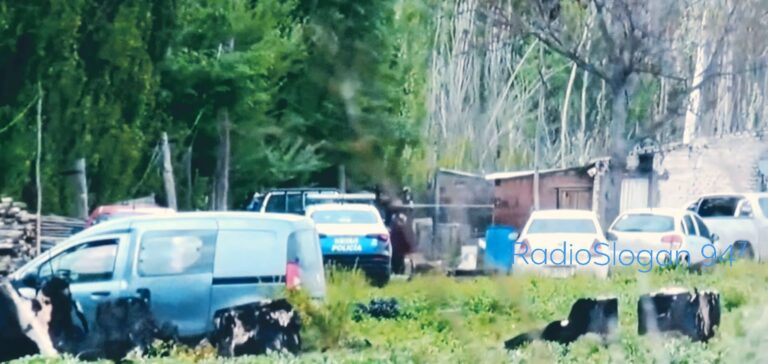 dos personas fueron halladas sin vida tras el incendio de una camioneta